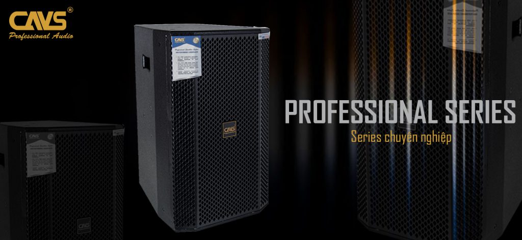 Loa Full CAVS PRO 12 LITE