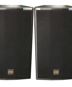 SẢn PhẨm Cavs P12  Âm thanh tiến phát