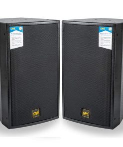 Dai Dien LoaP12 Âm thanh tiến phát 