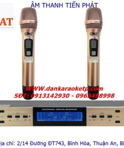 Dan Karaoke