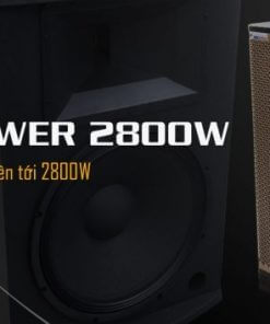 Loa Kéo Cavs Pg15s Bass 40 Tien Phat
