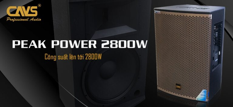 Loa Kéo Cavs Pg15s Bass 40 Tien Phat