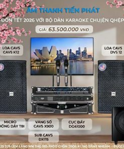 Bộ Dàn Karaoke Chuyên Nghiệp Đón Tết 2026 - Âm Thanh Tiến Phát Bình Dương | Giá Cực Tốt!